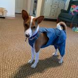 (Category: ) located in . Submitted by itsluisyall (Listing ID 1361123483, Image 1). Description: .