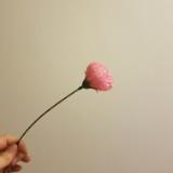 （分類：）位於 。 由 jynh12 提交（商品編號 1385704944，圖片 1）。簡介： 。