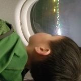 （分類：）位於 。 由 penguintsang 提交（商品編號 1344736527，圖片 1）。簡介： 。