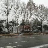 (Category: ) located in . Submitted by tansl88 (Listing ID 1453123197, Image 1). Description: .