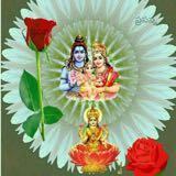 (Category: ) located in . Submitted by rameshkannan (Listing ID 1327268864, Image 1). Description: .
