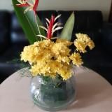 (Kategori: ) berada di . Dikirim oleh salsabila1998 (ID iklan 1015526397, Gambar 1). Deskripsi: .