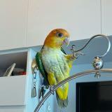 （分類：）位於 。 由 tinwing2007 提交（商品編號 1380475113，圖片 1）。簡介： 。