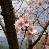 (Category: ) located in . Submitted by sarahkhoo6658 (Listing ID 1009900727, Image 1). Description: .