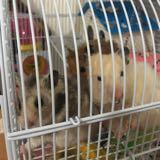 (Category: ) located in . Submitted by idkkann (Listing ID 1345701571, Image 1). Description: .