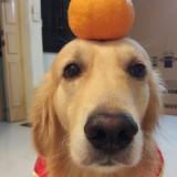 (Category: ) located in . Submitted by RDLJH (Listing ID 1363779333, Image 1). Description: .
