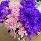 (Category: ) located in . Submitted by ishayay (Listing ID 1372605256, Image 1). Description: .