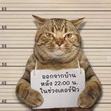 （分類：）位於 。 由 hungbos 提交（商品編號 1382965861，圖片 1）。簡介： 。