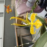 (分類:)位於 。 由 hung48146999 提交(商品編號 1462929052,圖片 1)。簡介: 。