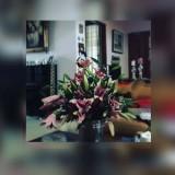 (Kategori: ) berada di . Dikirim oleh futari30 (ID iklan 1372356968, Gambar 1). Deskripsi: .