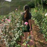 (Category: ) located in . Submitted by jaelynong (Listing ID 1381281397, Image 1). Description: .