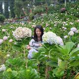 (Kategori: ) berada di . Dikirim oleh nataliayp (ID iklan 1382355524, Gambar 1). Deskripsi: .