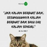 (Kategori: ) berada di . Dikirim oleh rarasberry (ID iklan 1219454487, Gambar 1). Deskripsi: .