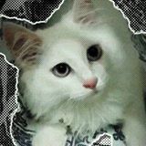 (分類:)位於 。 由 casiowong 提交(商品編號 1319125022,圖片 1)。簡介: 。