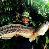 (Category: ) located in . Submitted by jtackle (Listing ID 1034931645, Image 1). Description: .