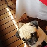 (Category: ) located in . Submitted by lcedeb (Listing ID 1225286284, Image 1). Description: .