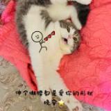 (Category: ) located in . Submitted by mysterybox111 (Listing ID 1384767268, Image 1). Description: .