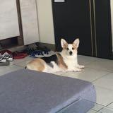 頭像