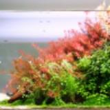(Category: ) located in . Submitted by maquis (Listing ID 1283190172, Image 1). Description: .