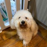 (Category: ) located in . Submitted by sherwinhui (Listing ID 1380165971, Image 1). Description: .