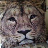（分類：）位於 。 由 sellingoldpieces 提交（商品編號 1381788767，圖片 1）。簡介： 。