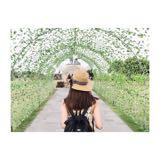 (Kategori: ) berada di . Dikirim oleh patricia_l (ID iklan 1382934480, Gambar 1). Deskripsi: .