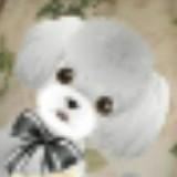（分類：）位於 。 由 heyitskaka 提交（商品編號 1246306726，圖片 1）。簡介： 。