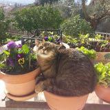 (Category: ) located in . Submitted by zerny (Listing ID 1299244044, Image 1). Description: .