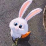 (Category: ) located in . Submitted by mylovelystuff01 (Listing ID 1461236193, Image 1). Description: .