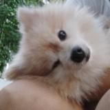 (Category: ) located in . Submitted by life.grace.joy (Listing ID 1363905083, Image 1). Description: .