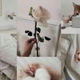 (Category: ) located in . Submitted by 0.412x (Listing ID 1298145807, Image 1). Description: .
