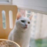 （分類：）位於 。 由 3bobr 提交（商品編號 1379380725，圖片 1）。簡介： 。