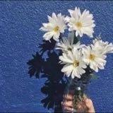 (Category: ) located in . Submitted by flowersofk (Listing ID 1366511035, Image 1). Description: .