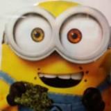 (Category: ) located in . Submitted by fleow29 (Listing ID 1453153376, Image 1). Description: .