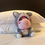 (分類:)位於 。 由 mujimujiw 提交(商品編號 1452538970,圖片 1)。簡介: 。