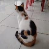 (Kategori: ) berada di . Dikirim oleh keytourel (ID iklan 1326175603, Gambar 1). Deskripsi: .