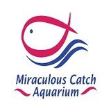 (Category: ) located in . Submitted by mcatchaquarium (Listing ID 1339724170, Image 1). Description: .