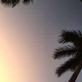 (分類:)位於 。 由 khloe_3 提交(商品編號 1456555819,圖片 1)。簡介: 。