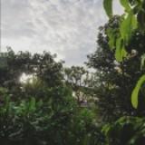 (Category: ) located in . Submitted by eyecjy (Listing ID 1341947677, Image 1). Description: .