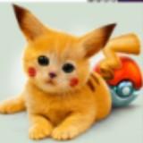 （分類：）位於 。 由 com_my_chung 提交（商品編號 1269292967，圖片 1）。簡介： 。