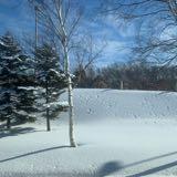 (Category: ) located in . Submitted by snowdayz (Listing ID 1384190012, Image 1). Description: .