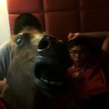 (Category: ) located in . Submitted by darrenang30 (Listing ID 1341984356, Image 1). Description: .