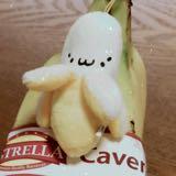 (Category: ) located in . Submitted by dinosaurgirl (Listing ID 1257824843, Image 1). Description: .