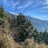 (Category: ) located in . Submitted by sona09 (Listing ID 1336418191, Image 1). Description: .