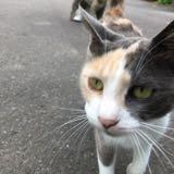 （分類：）位於 。 由 bonbonbo 提交（商品編號 1367400069，圖片 1）。簡介： 。