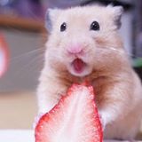 (分類:)位於 。 由 boboboaaa 提交(商品編號 1316947291,圖片 1)。簡介: 。