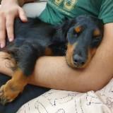 (Category: ) located in . Submitted by ilovedoxies (Listing ID 1334107818, Image 1). Description: .