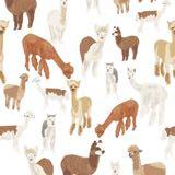 (Category: ) located in . Submitted by lllama (Listing ID 1378833686, Image 1). Description: .