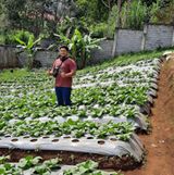 (Kategori: ) berada di . Dikirim oleh fauzanma (ID iklan 1349167144, Gambar 1). Deskripsi: .