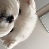 (Category: ) located in . Submitted by dearjs (Listing ID 1383440399, Image 1). Description: .